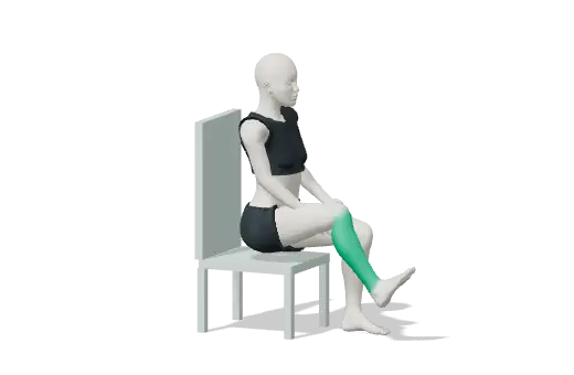 Animation of Ankle pumps