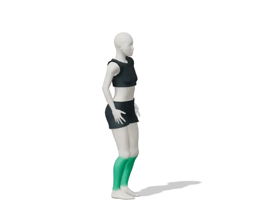 Animation of 4-stage balance test
