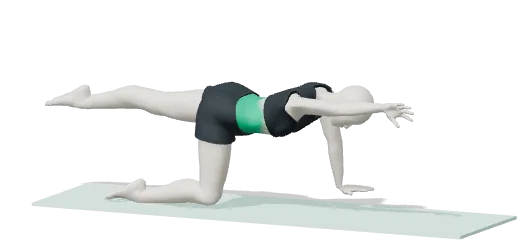 Bird-dog, step 2: Reach one arm forward and the opposite leg back