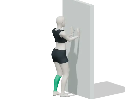 Animation of Calf stretch