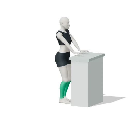 Toe raises, step 1: Stand tall, holding a counter